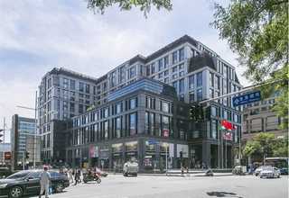 江西金丝熊鼠粮工厂货源