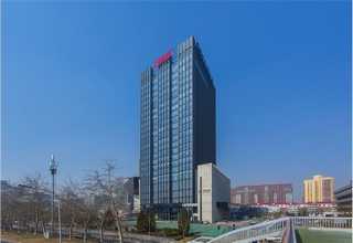 山西麻花油炸机生产线哪家好