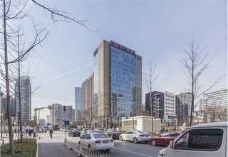 天津小丽花花种质量